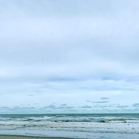 Relaxing Beachside Apartment, Cleaning Included Lägenhet